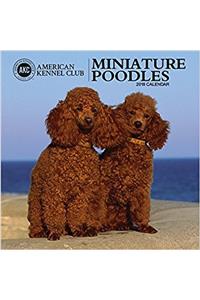 Miniature Poodles American Kennel Club 2018 Wall Calendar