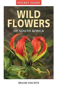 Pocket Guide to Wildflowers of South Africa