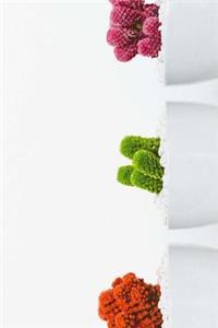 Cactus Notebook