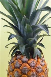 Fresh Juicy Pineapple Journal