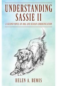 Understanding Sassie II