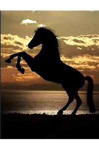 Horses Sea & Sunset Sketchbook