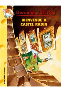 Bienvenue a Castel Radin N10