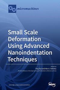 Small Scale Deformation Using Advanced Nanoindentation Techniques
