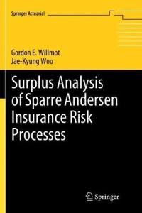 Surplus Analysis of Sparre Andersen Insurance Risk Processes