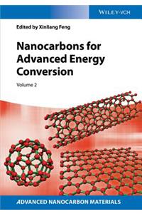 Nanocarbons for Advanced Energy Storage