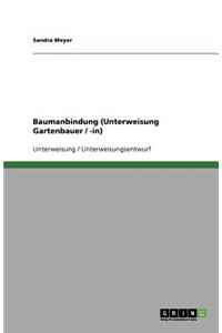 Baumanbindung (Unterweisung Gartenbauer / -in)