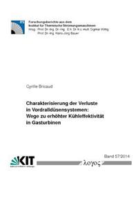 Charakterisierung Der Verluste in Vordralldusensystemen
