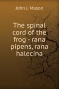 THE SPINAL CORD OF THE FROG - RANA PIPE