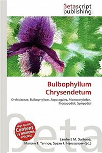 Bulbophyllum Chrysendetum