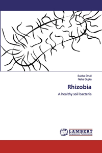 Rhizobia