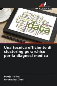 tecnica efficiente di clustering gerarchico per la diagnosi medica