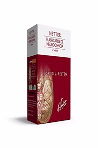 Netter. Flashcards de neurociencia (3a ed.)