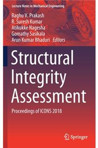 Structural Integrity Assessment