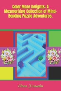Color Maze Delights