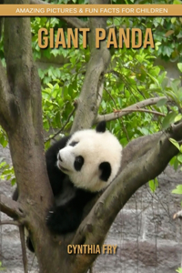 Giant Panda