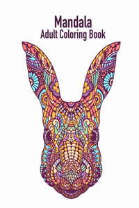 Mandala Adult Coloring Book