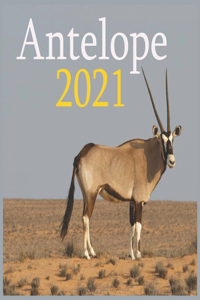Antelope