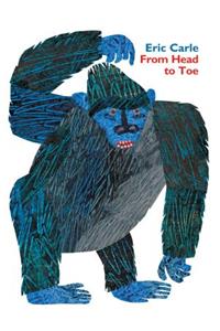 From Head to Toe Padded Board Book