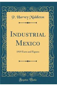 Industrial Mexico: 1919 Facts and Figures (Classic Reprint)