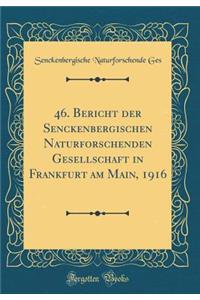 46. Bericht der Senckenbergischen Naturforschenden Gesellschaft in Frankfurt am Main, 1916 (Classic Reprint)