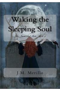 Waking the Sleeping Soul