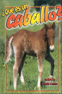 ¿Qué Es Un Caballo? (What Is a Horse?)