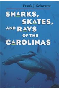 Sharks, Skates, and Rays of the Carolinas