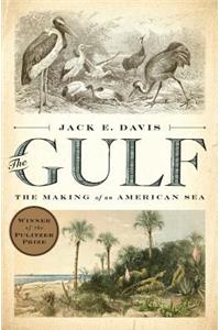 The Gulf: The Making of an American Sea