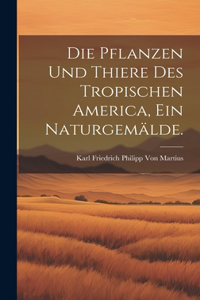 Die Pflanzen und Thiere des tropischen America, ein Naturgemälde.