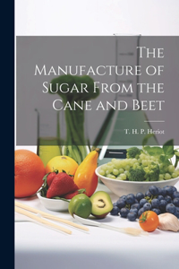 Manufacture of Sugar From the Cane and Beet