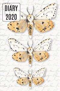 2020 Daily Diary Journal, Moths