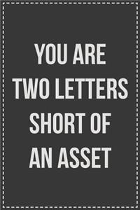 You Are Two Letters Short of an Asset