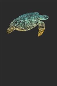Turtle Colors