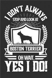 I Don't Always Stop and Look At Boston Terrier OH Wait, Yes I Do!