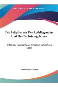 Die Leitpflanzen Des Rothliegenden Und Des Zechsteingebirges