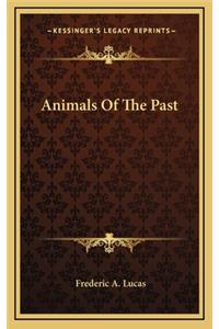 Animals Of The Past