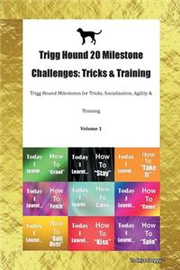 Trigg Hound 20 Milestone Challenges