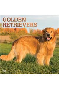 Golden Retrievers 2019 Square Foil