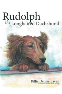 Rudolph the Longhaired Dachshund