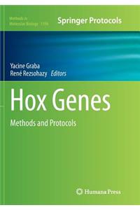 Hox Genes