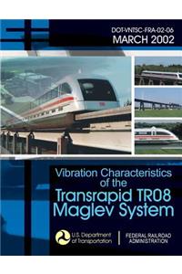 Vibration Characteristics of the Transrapid TR08 Maglev System