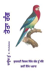 Parrot Colors (in Punjabi)