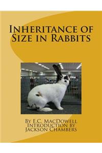 Inheritance of Size in Rabbits