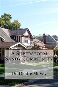 Superstorm Sandy Community