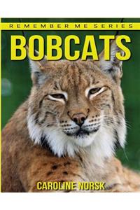 Bobcats