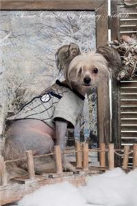 Chinese Crested Dog January Notebook Chinese Crested Dog Record, Log, Diary, Special Memories, To Do List, Academic Notepad, Scrapbook & More