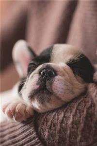 A Sweet Sleeping Black and White French Bulldog Puppy Pet Journal