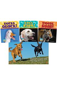 Animal Sounds Set