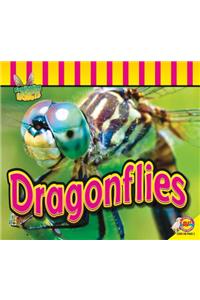 Dragonflies